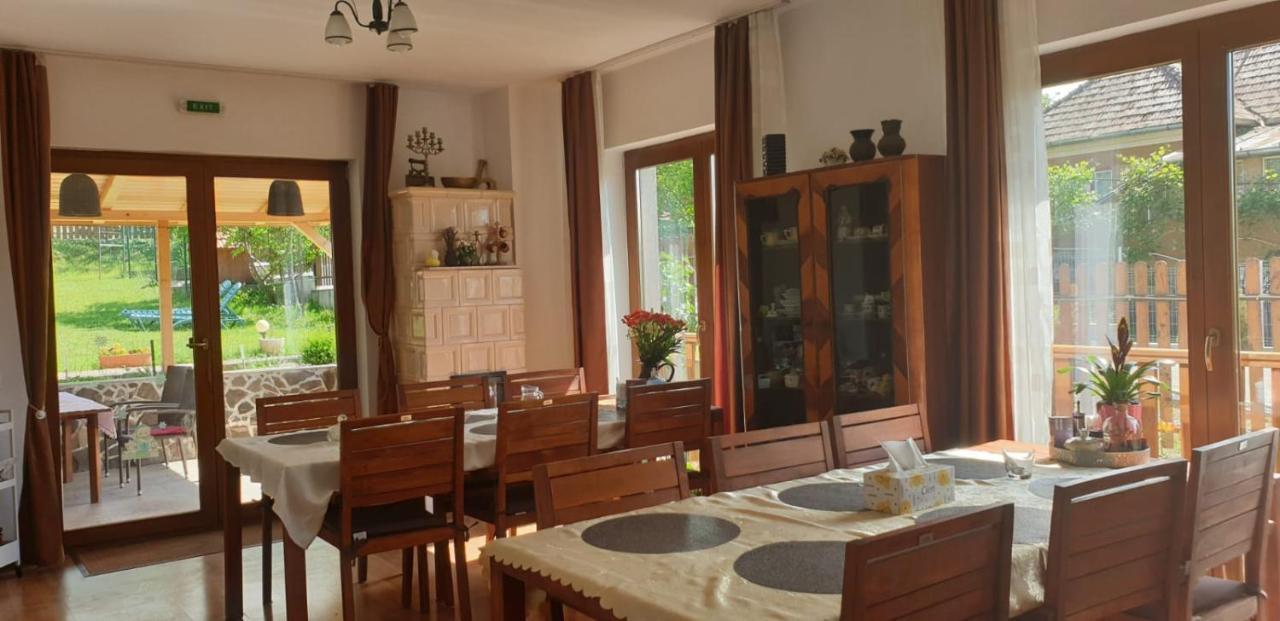 מלון Dezmir Casa Paduricea מראה חיצוני תמונה