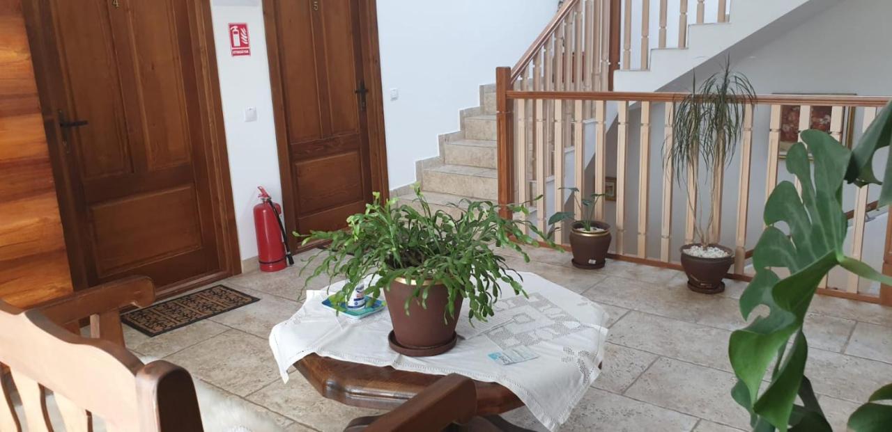 מלון Dezmir Casa Paduricea מראה חיצוני תמונה