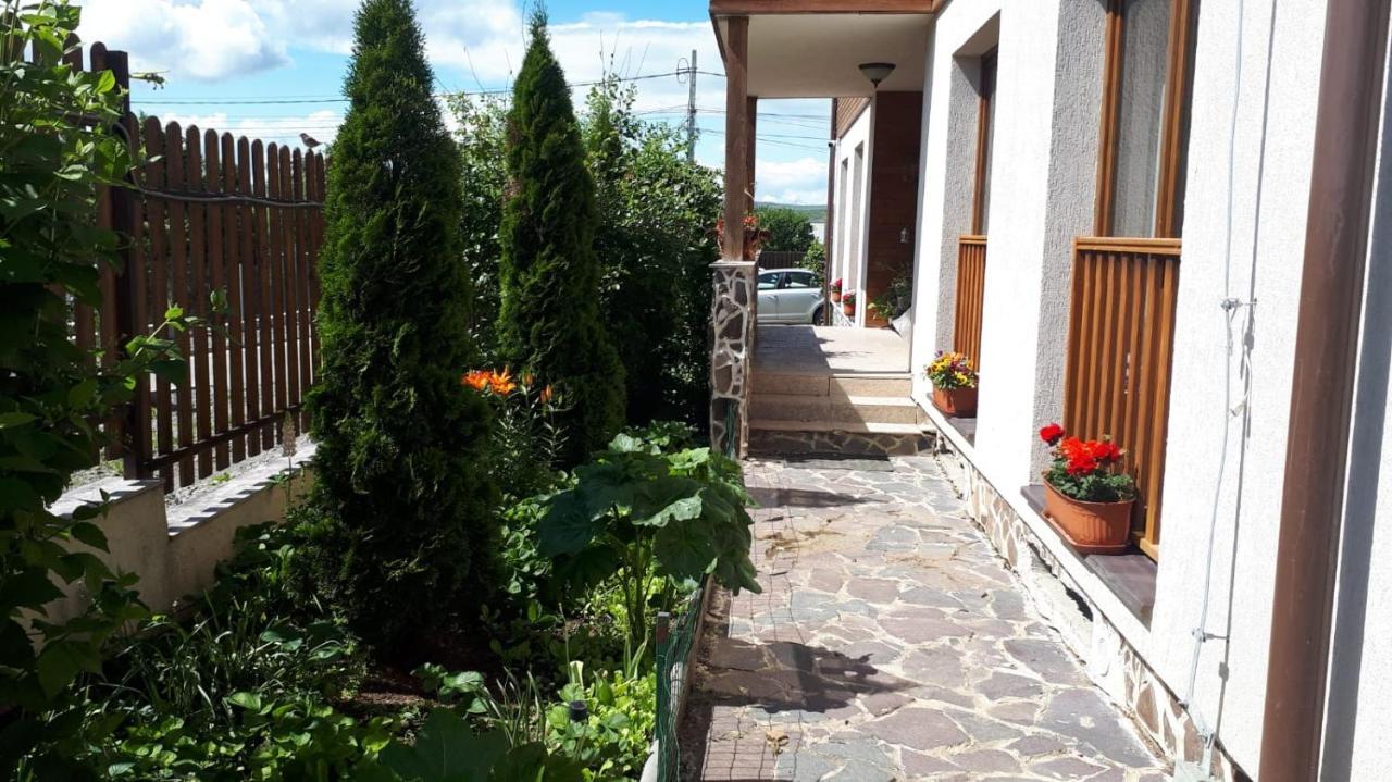 מלון Dezmir Casa Paduricea מראה חיצוני תמונה