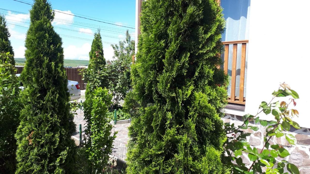 מלון Dezmir Casa Paduricea מראה חיצוני תמונה