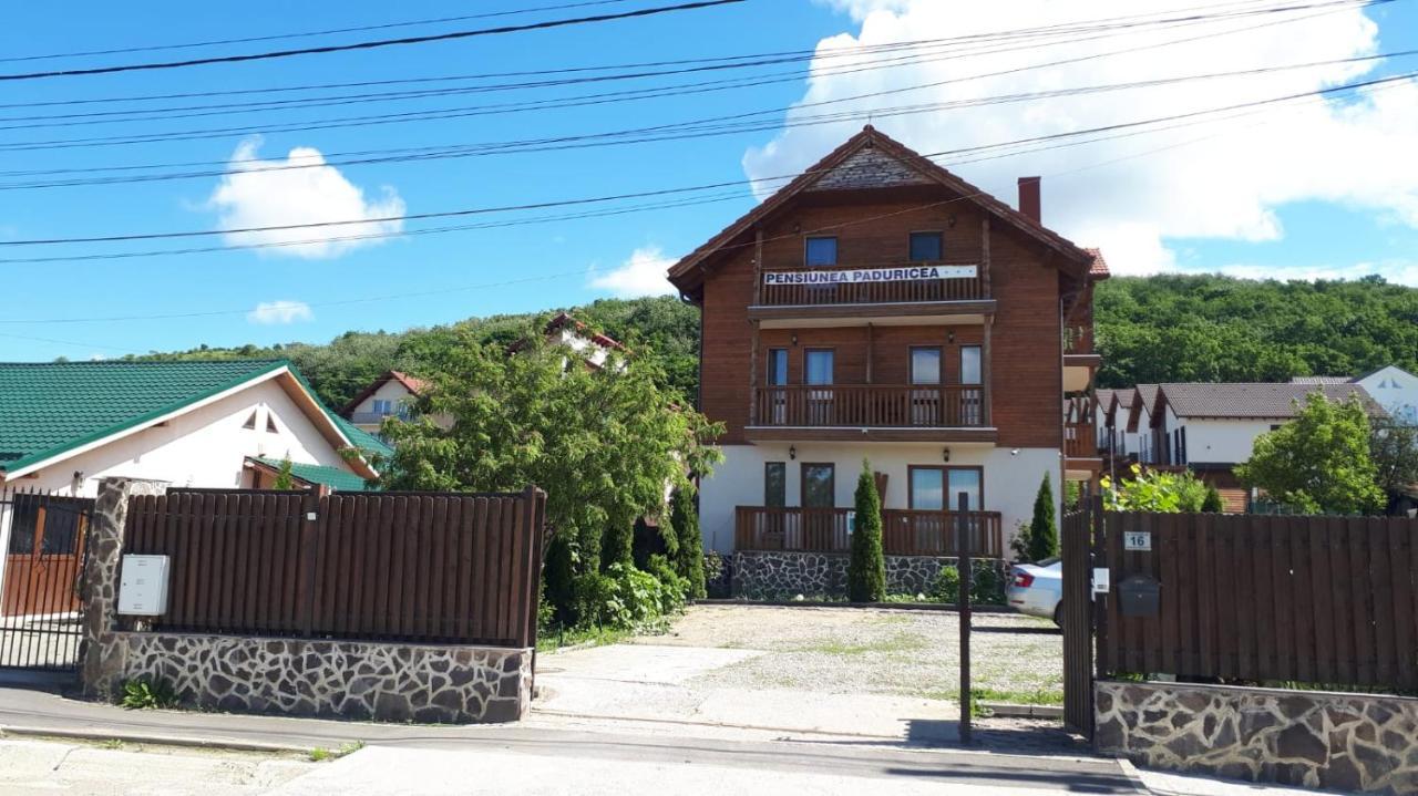 מלון Dezmir Casa Paduricea מראה חיצוני תמונה