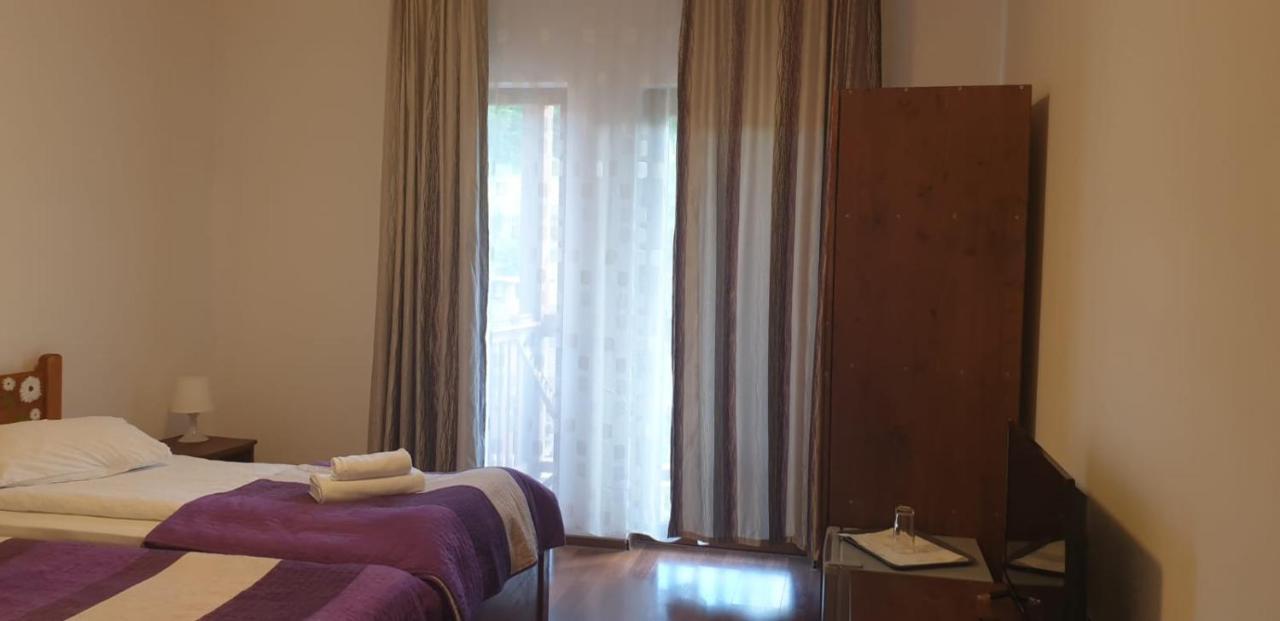 מלון Dezmir Casa Paduricea מראה חיצוני תמונה