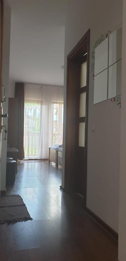 מלון Dezmir Casa Paduricea מראה חיצוני תמונה