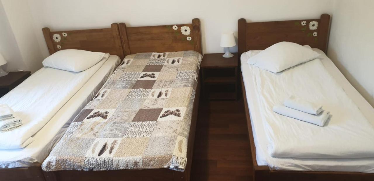 מלון Dezmir Casa Paduricea מראה חיצוני תמונה