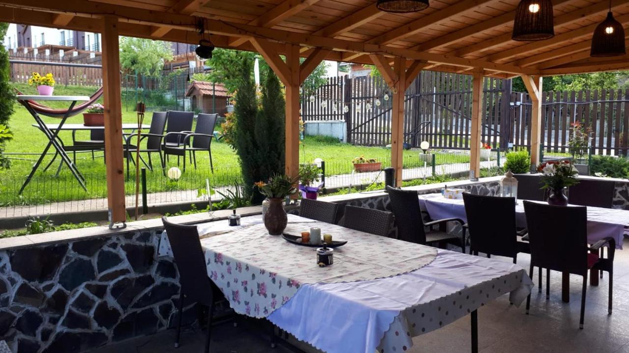 מלון Dezmir Casa Paduricea מראה חיצוני תמונה