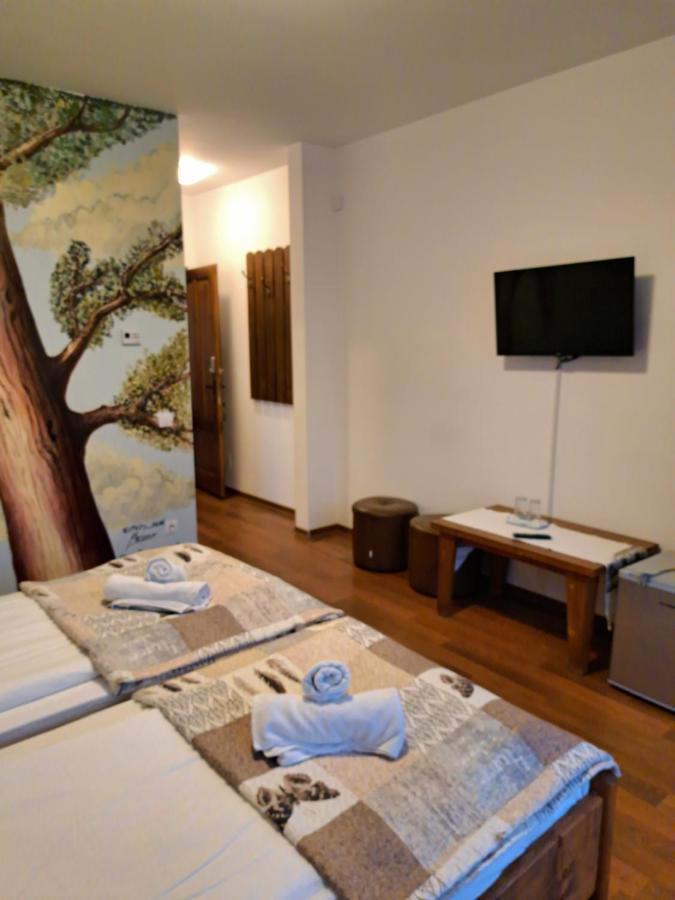 מלון Dezmir Casa Paduricea מראה חיצוני תמונה