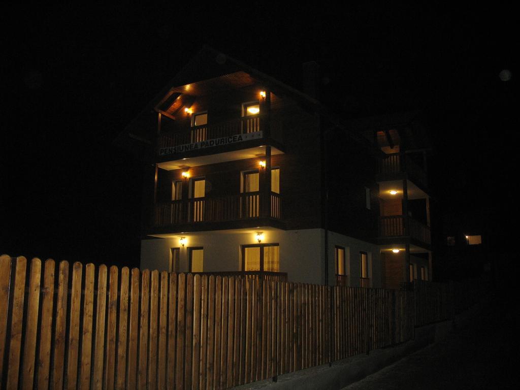 מלון Dezmir Casa Paduricea מראה חיצוני תמונה